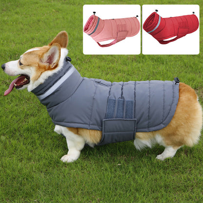 Pet Jackets – Warm, Cold-Resistant and Waterproof Clothing