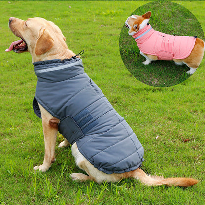 Pet Jackets – Warm, Cold-Resistant and Waterproof Clothing