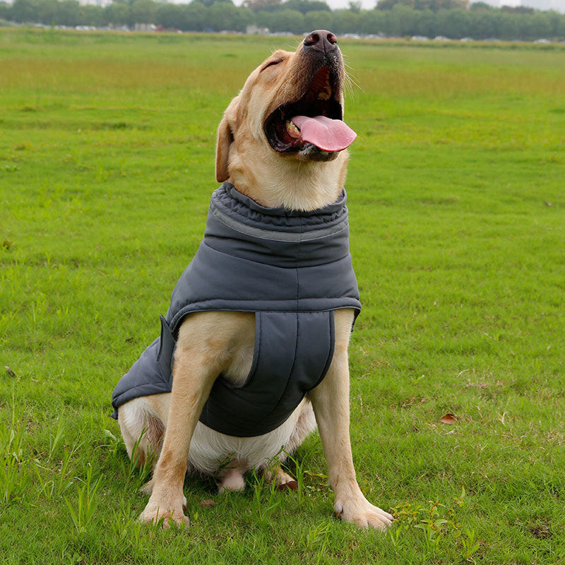 Pet Jackets – Warm, Cold-Resistant and Waterproof Clothing