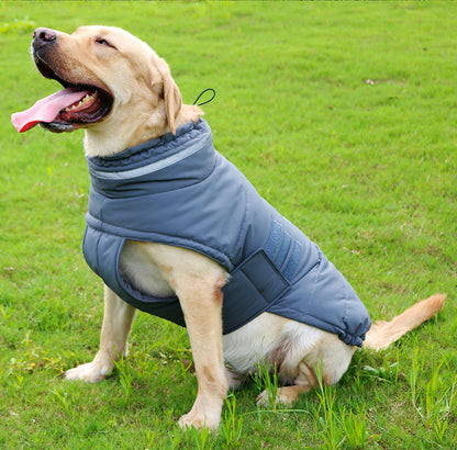 Pet Jackets – Warm, Cold-Resistant and Waterproof Clothing